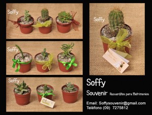 Soffy Anuncios gratis para novios en Santiago |  SOUVENIR O RECUERDOS PARA BODAS, El recuerdo Inolvidable para tu boda