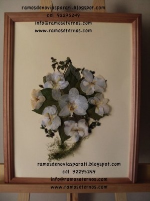  Anuncios gratis para novios en Vitacura |  CONSERVA TU RAMOS DE NOVIA O CUALQUIER OTRO TIPO DE ARREGLO FLORAL ENMARCAD, RAMOS DE FLORES ENMARCADOS Y PRESERVADOS