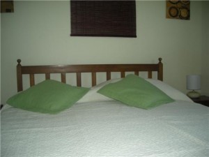  Anuncios gratis para novios en Santiago |  ARRIENDO DEPARTAMENTOS AMOBLADOS EN SANTIAGO de CHILE  Impecable Stgo centr, Metro Baquedano, Limite providencia, Stgo centro 4to piso