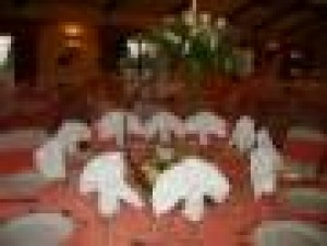 MANQUEHUE PRODUCCIONES Anuncios gratis para novios en Santiago |  CENA Y BAR LIBRE PARA FIESTAS DE MATRIMONIOS, PRESUPUESTOS PARA 2012
