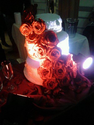 joshua Anuncios gratis para novios en Pudahuel |  creaci&oacute;n de tortas de novios ,cumplea&ntilde;os,15�s,y todo para tu fiesta , te doy la opci&oacute;n de sabores ,colores que tu elijas,no te arrepentiras....