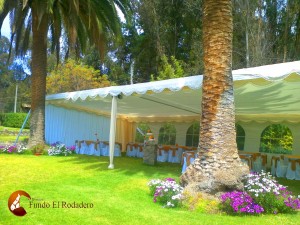  Anuncios gratis para novios en Valpara&iacute;so |  centro eventos matrimonios, matrimonio eventos