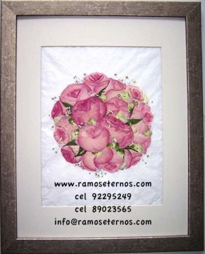 http://www.RAMOSETERNOS.COM Anuncios gratis para novios en Concepci&oacute;n |  CONSERVACION DE RAMOS DE NOVIA Y TODO TIPO  ARREGLOS FLORALES, PARA QUE BOTAR TUS RECUERDOS !!