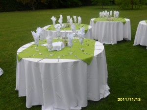 ERIK Anuncios gratis para novios en Lo Prado |  ARRIENDO DE VAJILLA Y MOBILIARIO, DESPACHO A DOMICILIO, COTIZE EN NUESTRA PAGINA WEB http://www.arriendospuntomin.superweb.net 