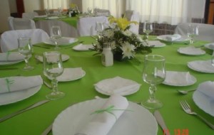 marcela cortes duran Anuncios gratis para novios en &Ntilde;u&ntilde;oa |  Organizadora de Matrimonios y Fiestas en General, Organizadora de Matrimonios y Fiestas en General