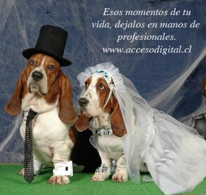 Jorge Garrido Chirino Anuncios gratis para novios en Quillota |  Fotografo en Quillota, Limache, Olmue, matrimonios, cumplea&ntilde;os 15 a&ntilde;os, aniversarios, eventos....