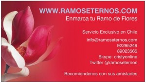  Anuncios gratis para novios en Vitacura |  RAMOS DE NOVIA ENMARCADOS, Cristina Diaz especialista en arte floral