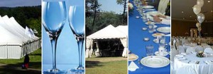 Felipe Silva Anuncios gratis para novios en Santiago |  Banqueteria,  BOUCHEE EXPRESS, fiestas, cenas de gala, reposteria, personal, banquetes y mucho mas...