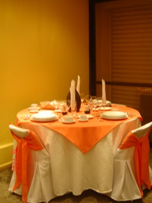 ARRIENDO DE VAJILLA Y CARPAS NAVARRETE HMNOS. Anuncios gratis para novios en Las Condes |  ARRIENDO DE VAJILLA Y CARPAS NAVARRETE HMNOS., ATENDEMOS EN LAS CONDES Y EN TODO SANTIAGO