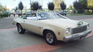 Miguel Angel Contreras Godoy Anuncios gratis para novios en Talca |  MARAVILLOSO DESCAPOTABLE PARA MATRIMONIOS Y EVENTOS, MALIBU CLASSIC AÑO 74, MARAVILLOSO, CONVERTIBLE