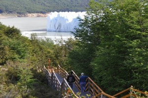 RODOLFO D�AZ MIRANDA Anuncios gratis para novios en Punta Arenas |  TOUR CON SALIDA AL GLACIAR PERITO MORENO Y TORRES DEL PAINE GRUPAL Y POR EL, D&Iacute;A O PLAN FAMILIAR  RESERVE LOS CUPOS CON NECESARIOS TURISMO MERCURY