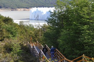 RODOLFO D�AZ MIRANDA Anuncios gratis para novios en Punta Arenas |  TOUR LO INVITAMOS A CONOCER LA PATAGONIA Y SUS DESTINOS GLACIAR PERITO , MORENO Y TORRES DEL PAINE POR EL D&Iacute;A Y EN GRUPO CEL .95108638 24 HORAS 