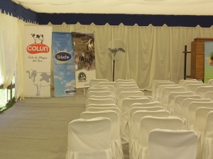 JORGE RODRIGUEZ  CORTES Anuncios gratis para novios en Temuco |  ARRIENDO DE CARPAS Y VAJILLA    ARAUCANOEVENTOS, ARAUCANOEVENTOS