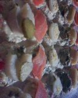 Lucia Lazo Acu&ntilde;a Anuncios gratis para novios en Santiago |  Canap&eacute;s Dulces Empanaditas Brochetas Tapaditos a Domicilio - Eventos Fiest , Cocteler&iacute;a a Domicilio 