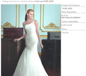 Carolina Hern&aacute;ndez Anuncios gratis para novios en Providencia |  Hermoso vestido de novia 38-40 $180 mil, en Santiago