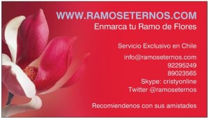 cristina diaz Anuncios gratis para novios en Las Condes |  Ramo de Novia/Ramo Eterno , Enmarcado de tu ramo de novia despues del matrimonio