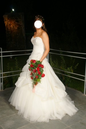 Jocelyn Anuncios gratis para novios en Santiago |  Vendo vestido de novia Mori Lee, El precio es conversable