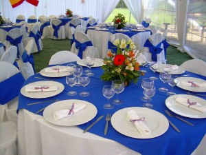 TodoFiestas Anuncios gratis para novios en Santiago |  Arriendo de Carpas, Toldos, Vajilla, en Santiago, http://www.todofiesta.cl