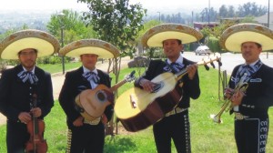 Mariachi Tierra Nueva Anuncios gratis para novios en Santiago |  Mariachis en santiago,insuperablemente lo mejor: 07-9617068 todo stgo, !!!serenatas a domicilio: (022) 301 63 70 !!! 