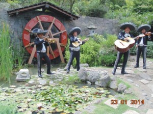 Mariachi Tierra Nueva Anuncios gratis para novios en Santiago |  Serenatas en todo chile:07-9617068  mariachi tierra nueva, !!! cari&ntilde;o en nuestro show:(022) 301 63 70 !!!