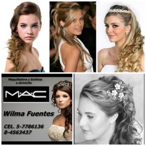 WILMA FUENTES Anuncios gratis para novios en Santiago |  Maquillaje mac y peinados a domicilio novias,madrinas, Solo maquillaje profesional mac