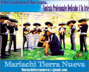 Mariachi Tierra Nueva Anuncios gratis para novios en Santiago |  Bellas serenatas en cerro navia:07 961 70 68,  !!! hermosas y divertidas canciones: 07-9617068 !!!