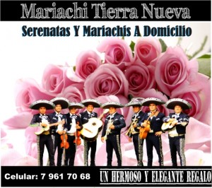Mariachi Tierra Nueva Anuncios gratis para novios en Maip&uacute; |  Los mariachis de chile , en maip&uacute;: red fija :227270129,   !!! reservas y consultas: 07-9617068 !!!