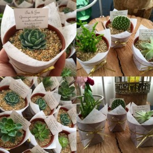 Natalia Anuncios gratis para novios en Santiago |  Encintado natural cactus y suculentas original ecologico, Recuerdo, original, matrimonio, plantitas, souvenir,
