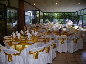 carolina Anuncios gratis para novios en Santiago |  Fiestas de Matrimonio Banquete Santiago Salones Carpa o Parcela, Salones y banqueteria Profecional