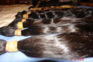 CAROLINA CONTRERAS DIAZ Anuncios gratis para novios en Temuco |  EXTENSIONES CABELLO HINDU  DISTRIBUIDORA TEMUCO , TEMUCO PRECIOS MAYORISTAS PROFESIONALES