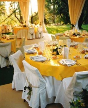 Luz Maria Anuncios gratis para novios en Vitacura |  Servicios de Banqueteria Matrimonios Eventos Catering, Luz Maria Varas Banqueteria