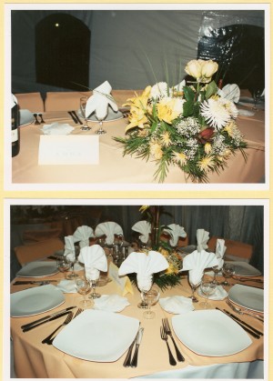 EVENTOS SIGLO XXI Anuncios gratis para novios en Maip&uacute; |  banqueter&igrave;a, c&ograve;ctel-men&ugrave; diferentes valores a&ntilde;o 2008, PRODUCCI�N-ASESORIA EN EVENTOS  A&Ntilde;O 2008