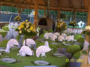 EVENTOS SIGLO XXI Anuncios gratis para novios en Talagante |  banqueter&igrave;a completa a&ntilde;o 2009, producci&ograve;n y asesor&igrave;a en eventos sociales, empresas a&ntilde;o 2009