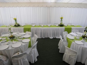 Maria eugenia Anuncios gratis para novios en Maip&uacute; |  Servicio de Banqueteria,gran oportunidad, todo tipo de ceremonias a domicilio,particulares y empresas