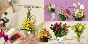 Florer&iacute;a 
