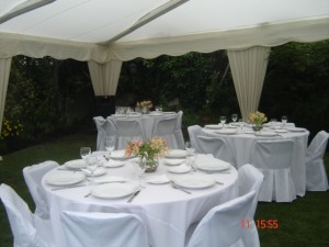 VIVIANA  EVENTOS Anuncios gratis para novios en Santiago |  servicio  de  banqueteros ,,a  domicilio y local propio  fono 02-6573510, matrimonios,  bautizos  ,  fiestas  de  graduaciones  ,empresas etc 