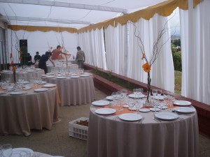 CARPAS HBZ Anuncios gratis para novios en Vi&ntilde;a del Mar |  ARRIENDO DE TOLDOS Y CARPAS, EVENTOS, toldos y capas, para todo tipo de eventos, cobertura en la V regi&oacute;n
