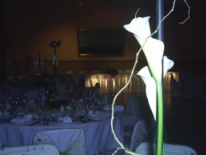 andrea droguett Anuncios gratis para novios en La Florida |  matrimonios eventos cocteles, lo mejor en banqueteria coctel cena bar abierto todo incluido