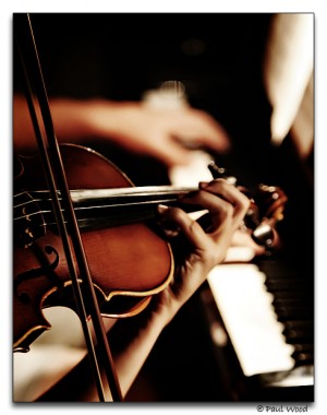 SA, MUSICA, MUSICOS, CORO, MATRIMONIOS Y EVENTOS Anuncios gratis para novios en Las Condes |  MUSICA CLASICA CEREMONIAS, CORO MATRIMONIO, CORAL MATRIMONIOS, SA MUSICOS, Los mejores musicos a tu disposicion SA, Canto - CORO