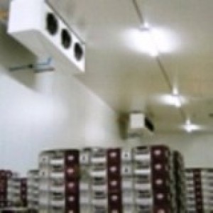 HYSERVICIOS Anuncios gratis para novios en San Antonio |  REFRIGERACION Y CLIMATIZACION INDUSTRIAL, HYSERVICIOS