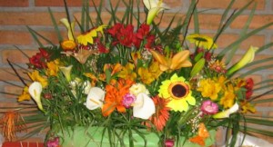 viviana stuven Anuncios gratis para novios en La Reina |  arreglos florales, novias,fiestas,nacimientos y eventos