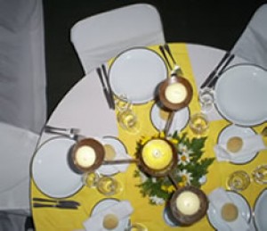  Anuncios gratis para novios en Santiago |  Banqueteria, Matrimonios, Graduaciones, Fiestas en General, Realizamos todo tipo de celebraciones, Matrimonios, Graduaciones, Fiestas