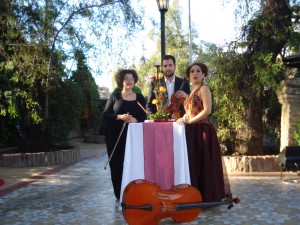 C&M Musicos Asociados Producciones Corales e Instrumentales Anuncios gratis para novios en Santiago |  Coros, Musica Clasica Ceremonias Matrimonios,092520393, Coro de Matrimonios, Coro y Musica Clasica, Musicos Profesionales, Matrimonios, Novios, Corales.