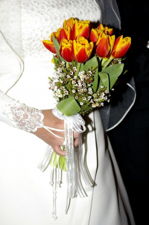 Angelica Anuncios gratis para novios en Maip&uacute; |  Arriendo Vestido de novia, hermoso vestito