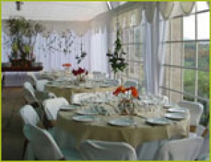 Jose Olivares O. Anuncios gratis para novios en Villa Alemana |  Banquetear&iacute;a fina, trabajo profesional, ofertas solo Villa Alemana,$10.900, Todo incluido, cena, salon musica, decoracion, animacion, DJ, protocolo.