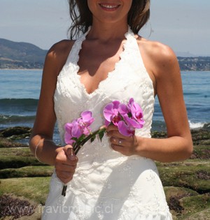 Andrea Vidal Anuncios gratis para novios en Las Condes |  Vendo vestido de novia, estilo Macarena Cort&eacute;s, muy lindo, $400.000, Vendo mi vestido, en Santiago, diciembre 2009