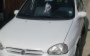 GERARDO IBARRA Anuncios gratis para novios en Puente Alto |  POLARIZADOS DE AUTOS, VENTANAS, POLARIZADOS DE VEHICULOS, VENTANAS
