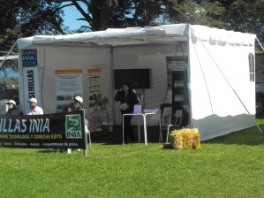 JORGE RODRIGUEZ CORTES Anuncios gratis para novios en Temuco |  CARPAS Y TOLDOS  PARA EVENTOS , ARAUCANOEVENTOS  CARPAS - TOLODOS