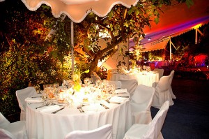 Jose Olivares Ordenes. Anuncios gratis para novios en Vi&ntilde;a del Mar |  Banqueteria, matrimonios, Bautizos, licenciaturas., Haz de tu evento un momento inolvidable, C&J producciones ... 