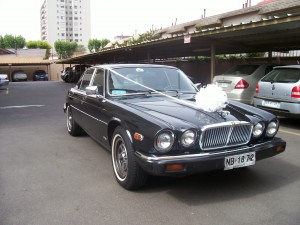 B&aacute;rbara Lanis Anuncios gratis para novios en Vi&ntilde;a del Mar |  Arriendo JAGUAR antiguo para matrimonios y eventos, Hermoso, fino y elegante